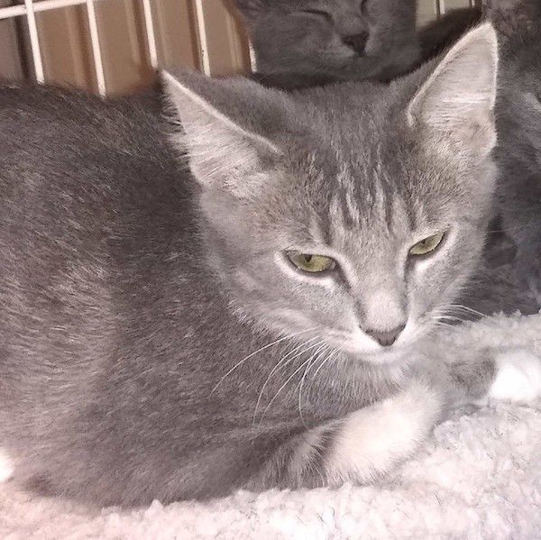 Poppy, a petite sweetheart